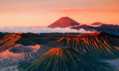 Смертельное заболевание обнаружено в Индонезии