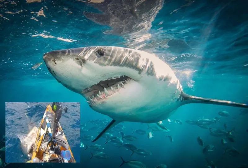 ТОП — 10 Самых опасных вод мира