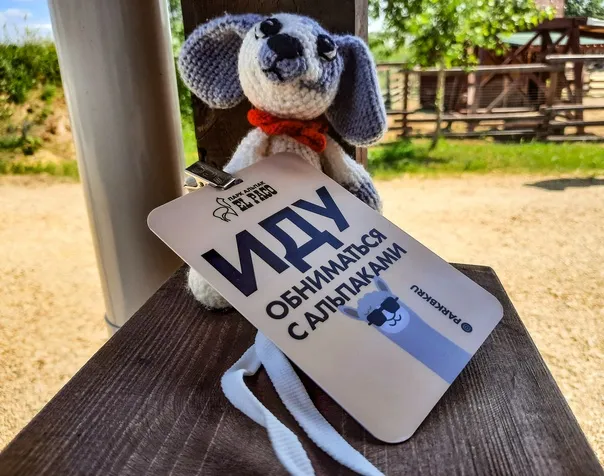 Глемпинг, парк Альпак, тропа силы. Чем заняться в Воронежской области