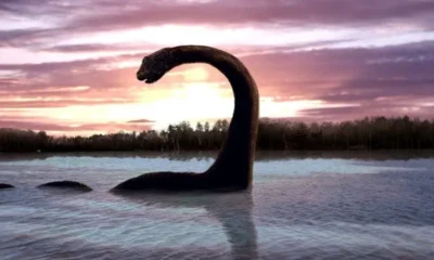 Шотландия ищет волонтеров для поиска Лох-несского чудовища