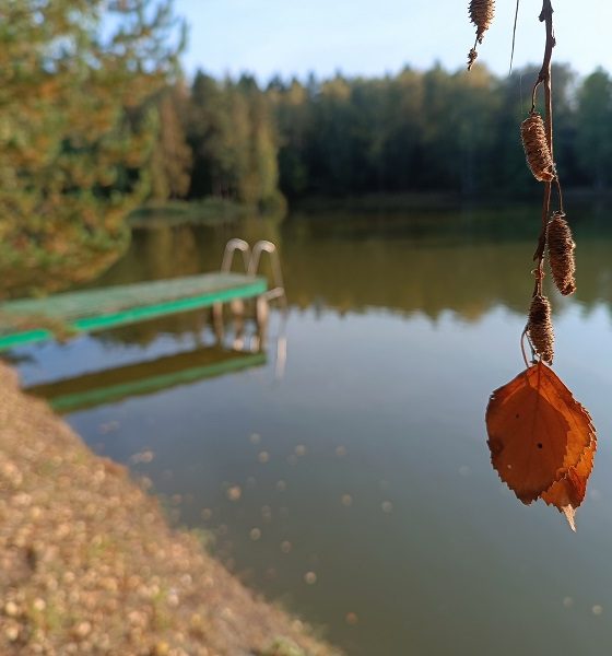 Санаторный бум: за здоровьем