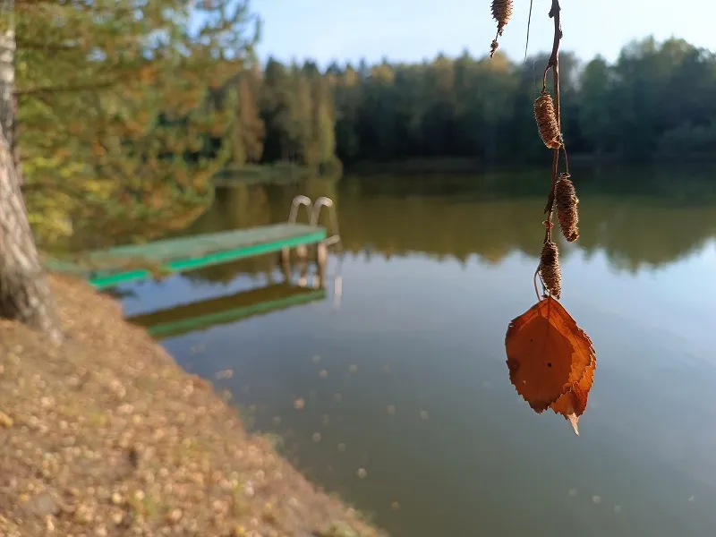 Санаторный бум: за здоровьем, тишиной и спокойствием
