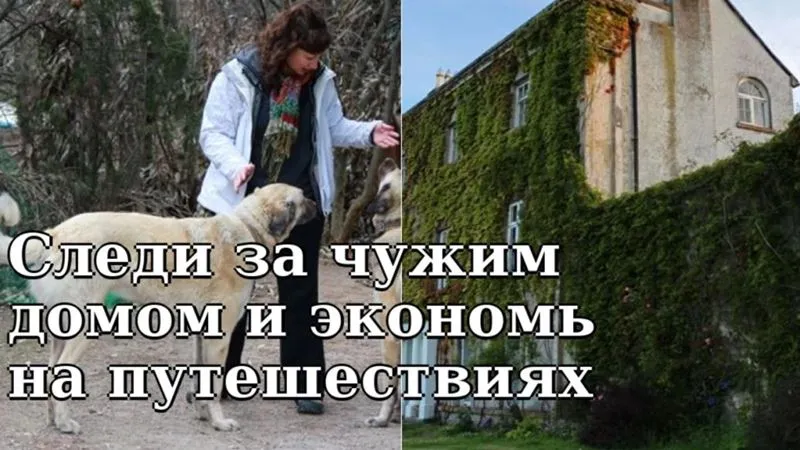 Как путешествовать бесплатно, став смотрителем дома и других путешественников