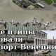 «Злые птицы» атаковали аэропорт Венеции