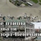 «Злые птицы» атаковали аэропорт Венеции