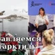 Направляемся в Антарктиду: крупнейшая в истории экспедиция против изменения климата