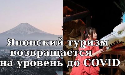 Япония стала невероятно популярным туристическим направлением у россиян