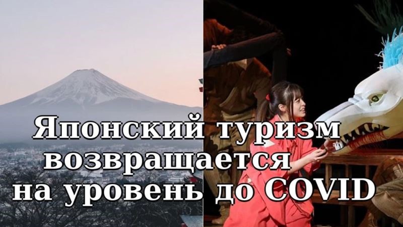 Япония стала невероятно популярным туристическим направлением у россиян