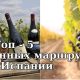 ТОП-5 Винных маршрутов в Испании