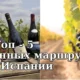 ТОП-5 Винных маршрутов в Испании