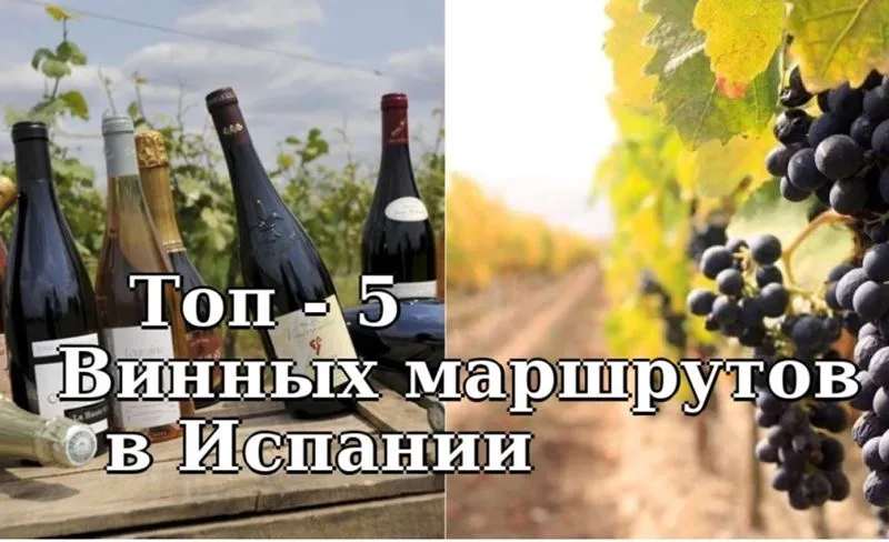 ТОП-5 Винных маршрутов в Испании, о которых вам нужно знать