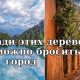 ТОП-5 Деревень Европы