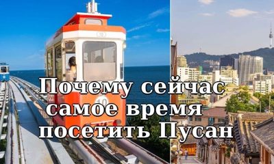 Почему сейчас самое время посетить Пусан