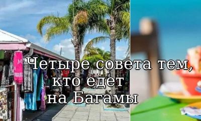 Четыре совета тем