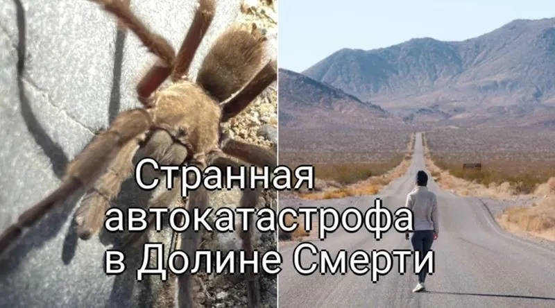 Странная автокатастрофа в Долине Смерти: не поверите, кто в ней виноват