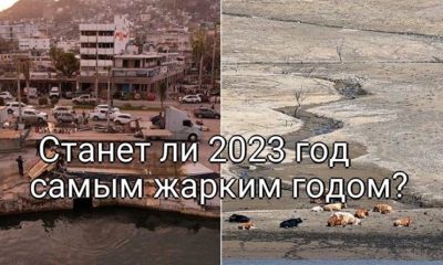 2023 год: новый рекорд по жаре и климатические вызовы