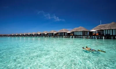 Под покровом ночи