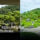 Самый красивый сад Японии