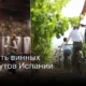 ТОП-5 винных маршрутов Испании