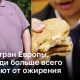 Пять стран Европы