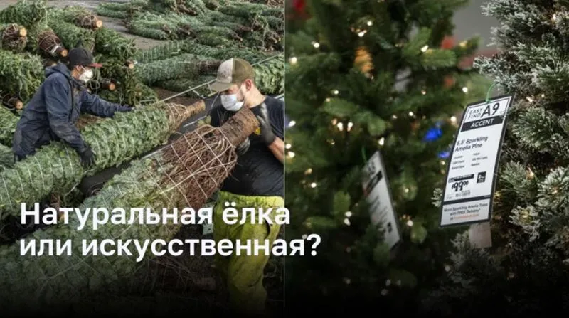 Натуральная ёлка или искусственная: Какой вариант предпочесть, чтобы спасти планету?