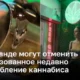 В Таиланде могут запретить легализованное недавно употребление каннабиса