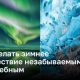 Как сделать зимнее путешествие незабываемым и волшебным