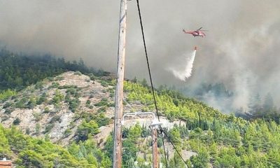 Лесные пожары в Греции не затронули курортную зону