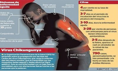 Ростуризм предупреждает туристов о лихорадке чикунгунья в Индии