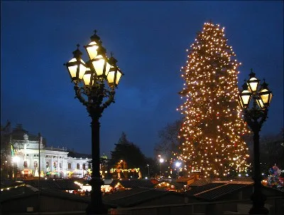 Главная елка Вены ушла на корм слонам