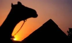 Попытка отправить туристов из Москвы в Египет закончилась крупным провалом