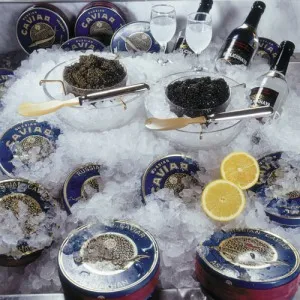 Кулинарное событие в отеле «Астория»