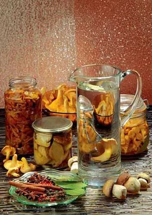 В Карпатах предлагают «березовые», «ягодные» и «грибные» туры