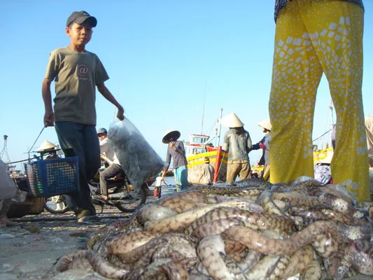 Небо Бразилии