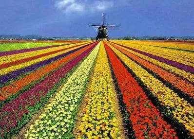 Нидерланды не пустили Болгарию и Румынию в Шенген