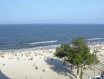 Роспотребнадзор не нашел в Азовском море холеру