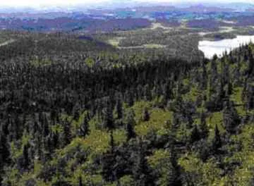 Найдены москвичи, заблудившиеся в тайге