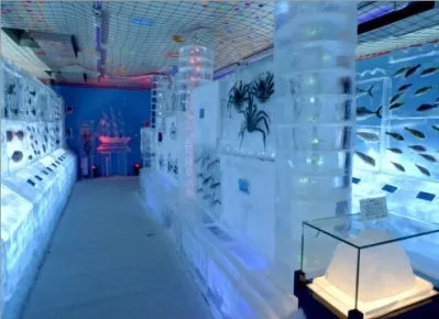 Рыбу в Японии закатали в лёд