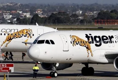 Австралийскому лоукостеру запретили летать