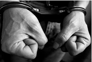 Пойман преступник обокравший офис турфирмы