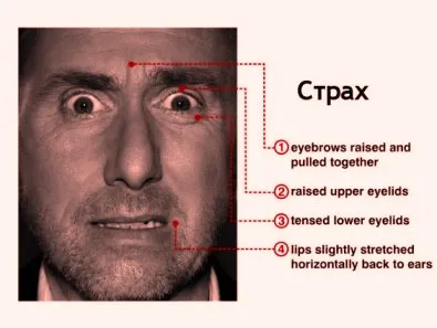 Преступников в аэропортах вычислят по лицу