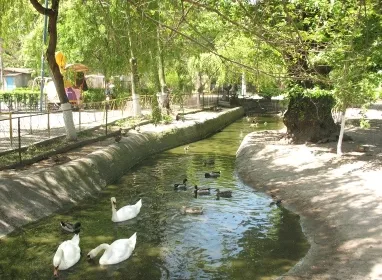 В зоопарке Одессы животных можно будет потрогать