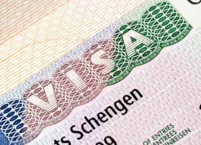 Депутаты Госдумы предложили ЕС пускать пассажиров с регулярных рейсов без виз