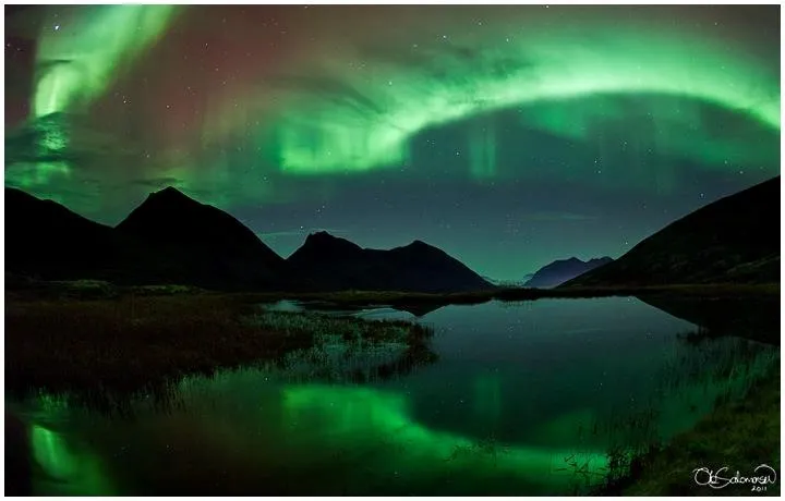 Норвежский феномен 2011