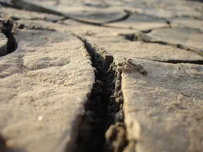 Из-за землетрясения в Египте туристы устроили панику