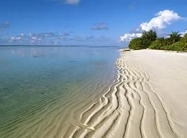 Этой зимой на Гоа будет больше россиян