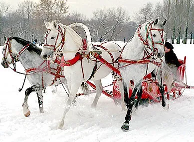 Фотоконкурс «С Любовью о Карелии»