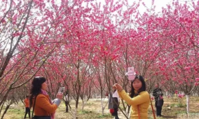 Туристы проникли в тюрьму чтобы полюбоваться цветами