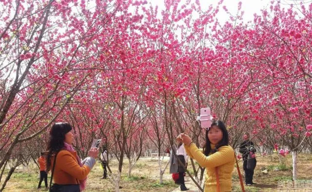 Туристы проникли в тюрьму чтобы полюбоваться цветами