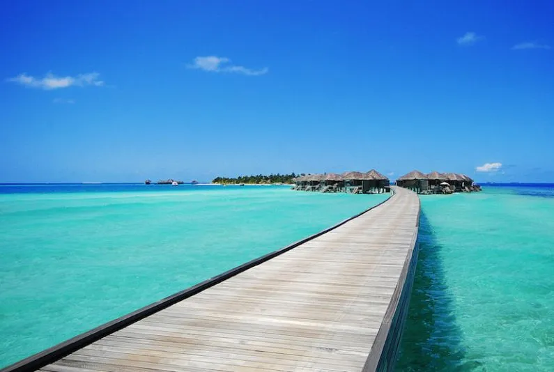 Участие MMPRC на выставке МИТТ